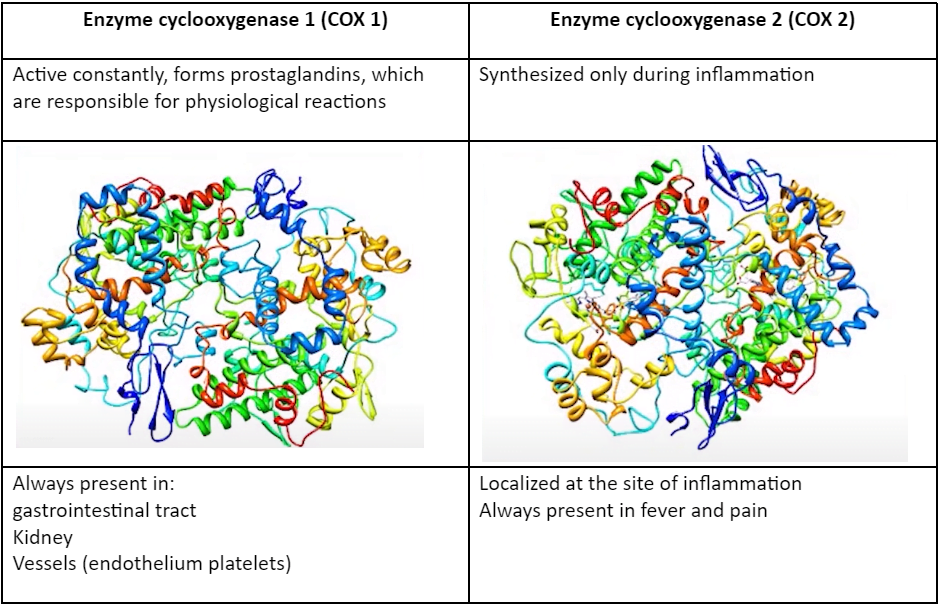 The process of nerve receptor sensitivity, where prostaglandin activation is initiated by cyclooxygenase 1 and cyclooxygenase 2 enzymes.