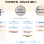 Biomimetic Materials for Dental Implants: How Mimicking Natural Biological Properties Enhances Adhesion and Accelerates Integration with Surrounding Tissues