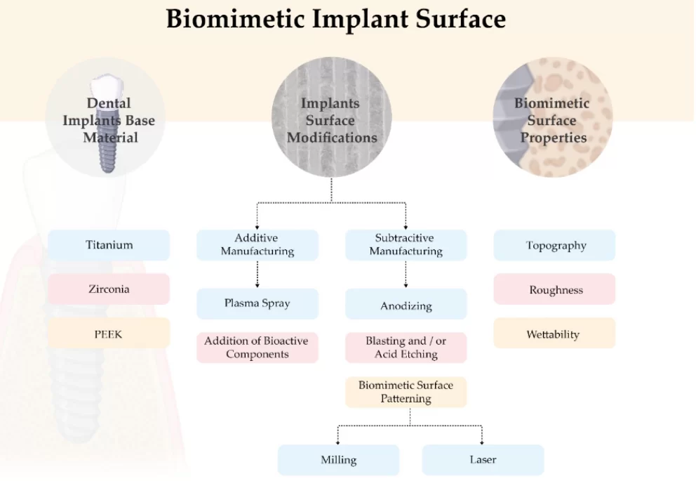 Biomimetic implant surface