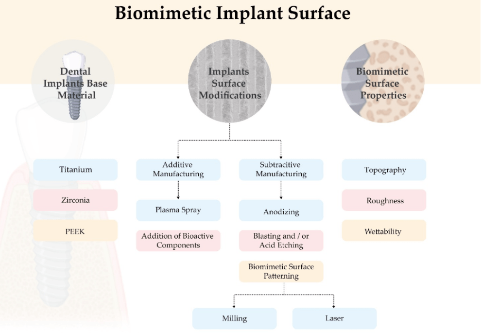 Biomimetic Materials for Dental Implants: How Mimicking Natural Biological Properties Enhances Adhesion and Accelerates Integration with Surrounding Tissues