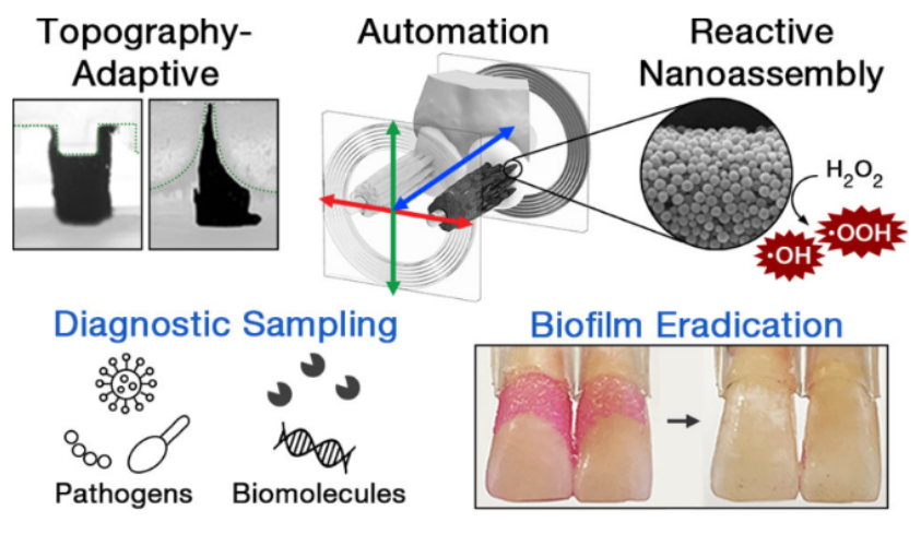 Shapeshifting Robotic Microswarm: Revolutionizing Oral Care