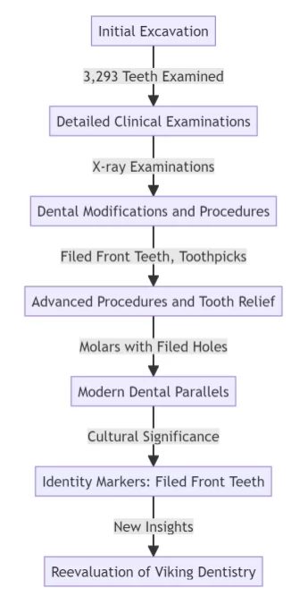 Flowchart detailing the process of examining viking dental practices, from excavation to analysis