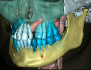 Practical Applications of Artificial Intelligence in Dentistry