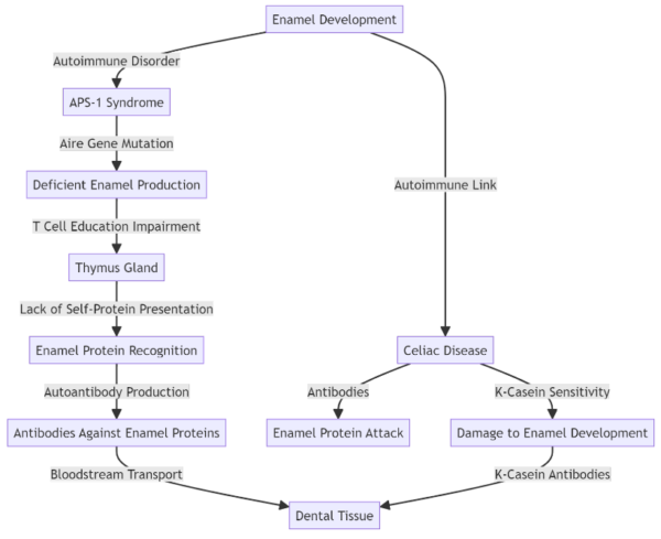 Autoimmune Disorders And Tooth Enamel