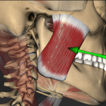 Dentists can diagnose apnea and spot other life-threatening problems earlier than doctors in other specialties – Dentistry’s unexpected frontier for protecting patients’ health and lives