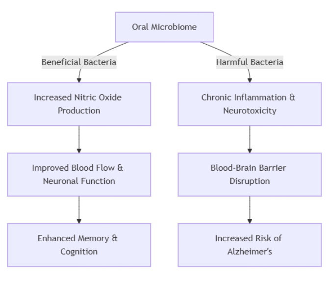 Oral Bacteria and Cognitive Health: How Your Mouth Influences Brain Function