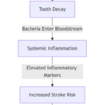 The Hidden Link Between Oral Bacteria and Stroke Risk: Insights for Dental Professionals