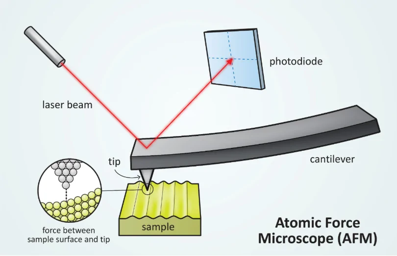 Revolutionizing Oral Cancer Detection: AI and Nanotechnology Unite