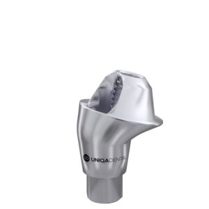 17° Multi-Unit Abutment D-Type for Neodent GM®