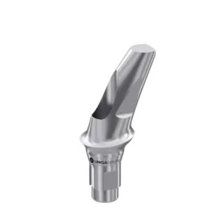 25° Abutment for Straumann® BL Ø4.1-4.8