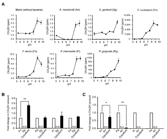 Ch3sh generation by l-methionine metabolism of oral bacteria. (a) changes in ch3sh production under various ph conditions. Bacterial cultures were supplemented with 5. 0 mm l-methionine. Results are normalized with the final od and shown as the mean ± sd of three independent experiments. (b, c) enhancement of ch3sh production by coculturing with s. Gordonii (b) or a. Naeslundii (c). Bacterial cultures were supplemented with 0. 5 mm l-methionine and adjusted at the final ph 6. 5. Results are shown as the mean ± sd of three independent experiments. *p < 0. 05, **p < 0. 01 (two-tailed paired t-test); n. D. , not detected. Fold changes in ch3sh amount were calculated using the following equation: fold = (amount of ch3sh formation in coculture)/(amount of ch3sh formation in single culture of f. Nucleatum, p. Gingivalis, p. Intermedia, or f. Alocis) + (amount of ch3sh formation in single culture of s. Gordonii or a. Naeslundii). All cultures were anaerobically incubated for 16 h, as described in materials and methods.