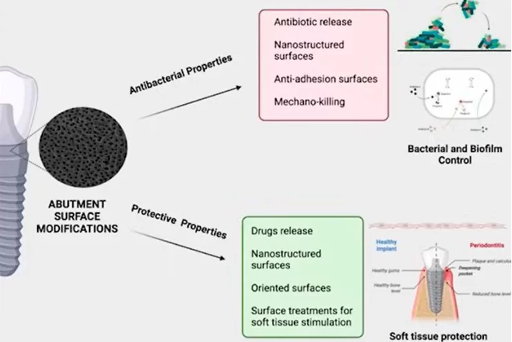 How surface modification affects the protective and antibacterial properties of the material