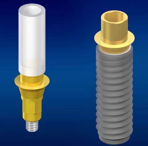 Template for the castable abutment (metal base and ash-free plastic shaft)