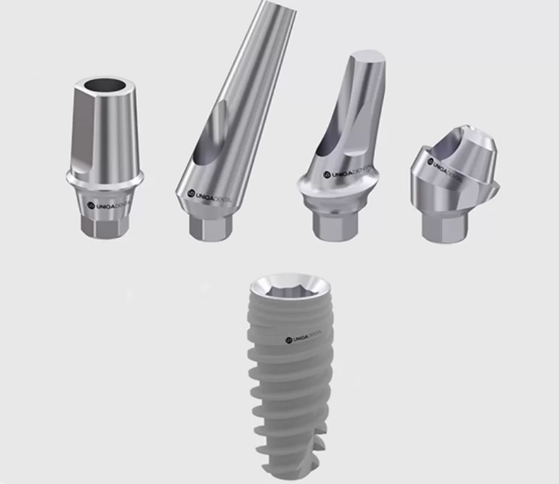 Prepared abutments for implants with internal hex interface - from left to right: straight abutment for cement fixation; angled abutment for cement fixation; angled abutment with anatomical ledge along the gingival line for cement fixation; angled multi-unit abutment for screw fixation.