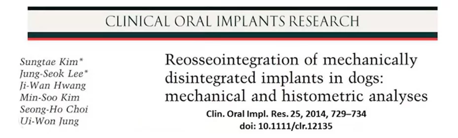 Reosseointegration of the implant can a rotated implant “take root”