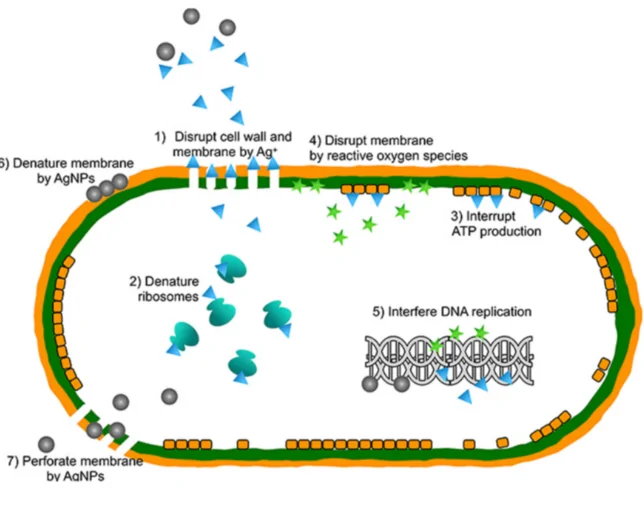 Methods to combat infections when installing dental implants