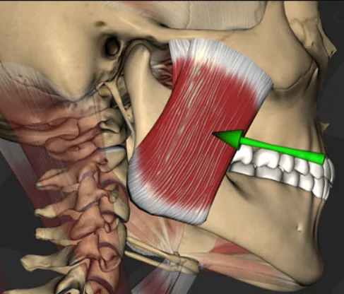 Dentists can diagnose apnea and spot other life-threatening problems earlier than doctors in other specialties – Dentistry’s unexpected frontier for protecting patients’ health and lives