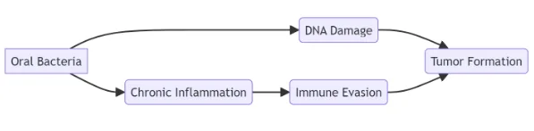 Mechanisms of oral bacteria in cancer progression